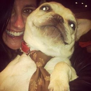 Meet your Posher, Walter